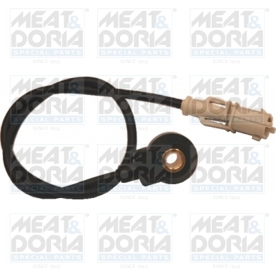 Knock Sensor